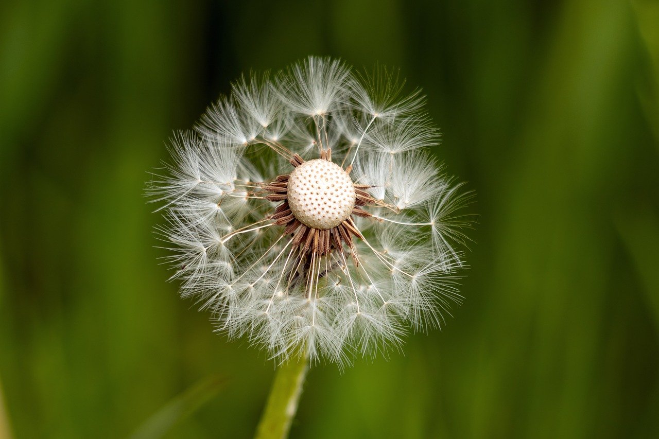 Building Resilience - A Guide for Parents